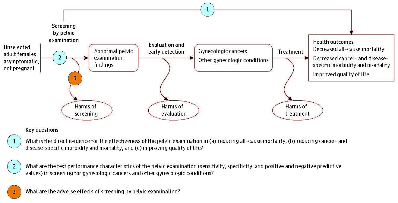 Figure 1. Analytic Framework. Figure 1 is an analytic framework for the key questions of this report. In general, the figure illustrates how screening with the pelvic examination could lead to the detection of gynecologic cancers and conditions and, with treatment, decrease mortality and morbidity and improve quality of life.