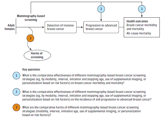 Figure 1 is an analytic framework that depicts the three Key Questions. In general, the figure illustrates how breast cancer screening can reduce the incidence of advanced breast cancer, breast cancer morbidity and mortality, and all-cause mortality. 