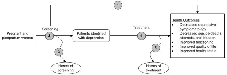 This figure is the analytic framework that depicts the five Key Questions (KQs) to be addressed by the systematic review. The figure illustrates how depression screening programs in pregnant and postpartum women may improve health outcomes (KQ 1) and result in the identification of patients with depression (KQ 2) who may receive interventions. Interventions may result in changes in health outcomes (KQ 4). The analytic framework also depicts the possible adverse events occurring after screening (KQ 3) or treatment (KQ 5).
