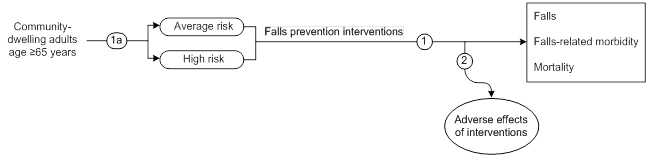 Figure 1 is an analytic framework for the key questions of this report that depicts community-dwelling adults age 65 years or older (at average or high risk for falls) receiving falls prevention interventions and the impact of those interventions on falls, falls-related morbidity, and mortality. The figure also depicts the possibility of harms or adverse events occurring as a result of falls prevention interventions.