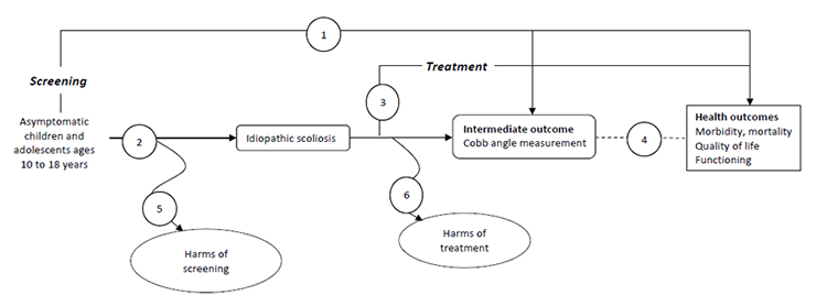 The figure shows the analytic framework for screening for adolescent idiopathic scoliosis. On the left side,  the population represented is asymptomatic children and adolescents ages 10 to 18 years. In the direct pathway, Key Question 1 has an arrow from screening to a) the intermediate outcome of Cobb angle measurement and b) the health outcomes of morbidity, mortality, quality of life, and functioning. In the indirect pathway, Key Question 2 has an arrow from the population to “idiopathic scoliosis,” which represents screening test accuracy. Treatment has a line to a) the intermediate outcome and b) health outcomes (Key Question 3). The harms Key Questions are represented with curved arrows at the bottom of the figure: “harms of screening” (Key Question 5) and “harms of treatment” (Key Question 6). 