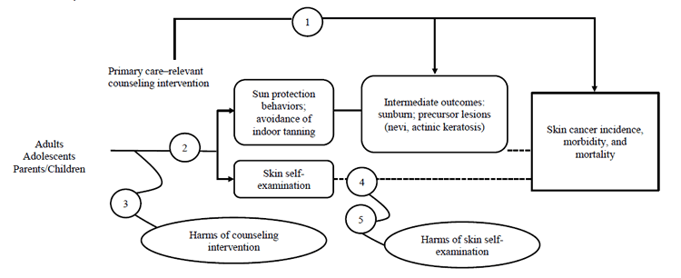 The analytic framework depicts the five Key Questions (KQs) described in the research plan. Specifically, it illustrates the following questions: whether counseling patients in skin cancer prevention improves intermediate outcomes (sunburn or precursor lesions) or skin cancer outcomes (melanoma, squamous or basal cell carcinoma incidence, morbidity, or mortality) (KQ1); whether primary care–relevant counseling interventions improve skin cancer prevention behaviors (reduced sun exposure, sunscreen use, protective clothing use, and skin self-examination) and avoidance of indoor tanning (KQ2); the harms of counseling interventions for skin cancer prevention (increased time in the sun, reduced physical activity, vitamin D deficiency, and anxiety) (KQ3); the association between skin self-examination and skin cancer outcomes (melanoma, squamous or basal cell carcinoma incidence, morbidity, or mortality) (KQ4); and the harms of skin self-examination (KQ5).