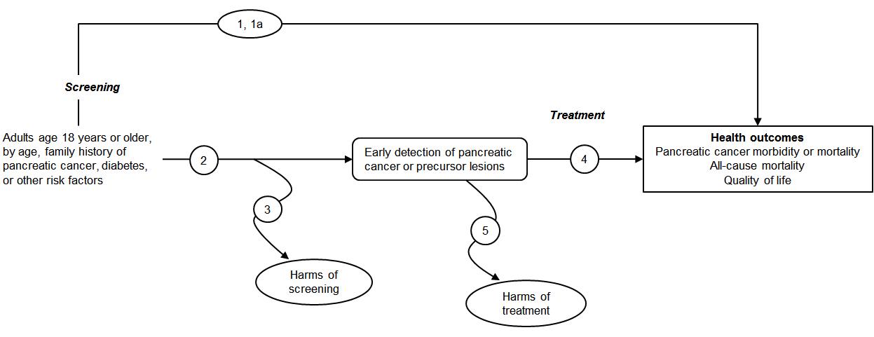 The analytic framework depicts the five key questions (KQs) described in the draft research plan. Specifically, it illustrates the following questions: whether screening for pancreatic adenocarcinoma improves cancer morbidity or mortality or all-cause mortality (KQ1); whether screening effectiveness varies by clinically relevant subpopulations, such as older adults, persons with a family history of pancreatic cancer, or persons with diabetes (KQ1a); the diagnostic accuracy of screening tests for pancreatic adenocarcinoma (KQ2); the harms of screening for pancreatic adenocarcinoma (KQ3); whether treatment of screen-detected or asymptomatic pancreatic adenocarcinoma improves cancer mortality, all-cause mortality, or quality of life (KQ4); and the harms of treatment of screen-detected pancreatic adenocarcinoma (KQ5).