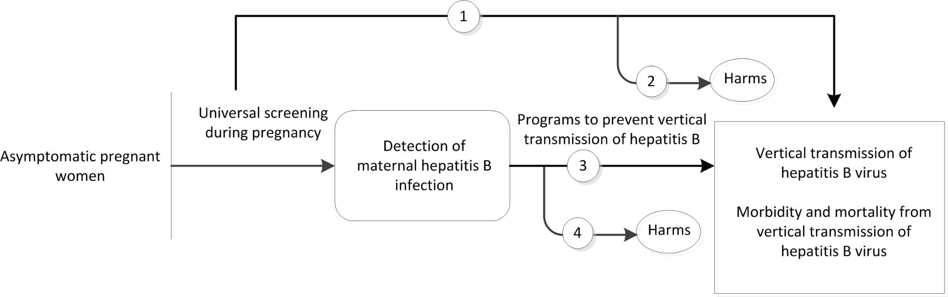 Figure 1 is the analytic framework that depicts the four Key Questions to be addressed in the systematic review. The figure illustrates how universal screening during pregnancy may result in improved health outcomes, including a reduction in the vertical transmission rates of hepatitis B as well as decreased morbidity and mortality (KQ1). The figure also depicts how programs to prevent the vertical transmission of hepatitis B may result in improved health outcomes, including a reduction in the vertical transmission rates of hepatitis B as well as decreased morbidity and mortality (KQ3). Further, the figure illustrates whether universal screening during pregnancy and programs to prevent the vertical transmission of hepatitis B infection are associated with any adverse events (KQ2, KQ4).