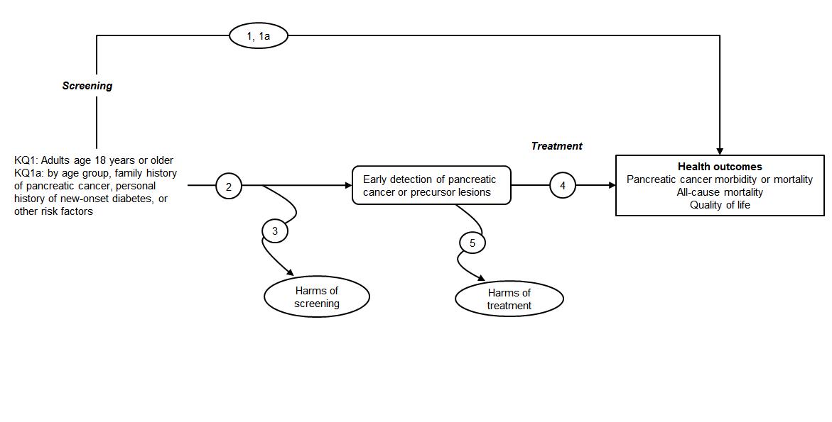 The analytic framework depicts the five Key Questions (KQs) described in the research plan. Specifically, it illustrates the following questions: whether screening for pancreatic adenocarcinoma improves cancer morbidity or mortality or all-cause mortality (KQ1); whether screening effectiveness varies by clinically relevant subpopulations, such as by age group, family history of pancreatic cancer, personal history of new-onset diabetes, or other risk factors (KQ1a); the diagnostic accuracy of screening tests for pancreatic adenocarcinoma (KQ2); the harms of screening for pancreatic adenocarcinoma (KQ3); whether treatment of screen-detected or asymptomatic pancreatic adenocarcinoma improves cancer mortality, all-cause mortality, or quality of life (KQ4); and the harms of treatment of screen-detected pancreatic adenocarcinoma (KQ5).