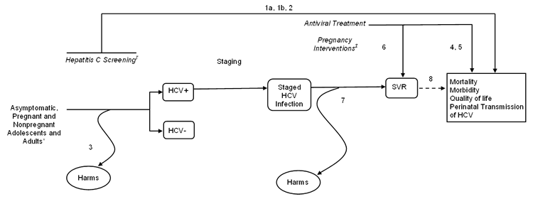 The analytic framework depicts the relationship between the populations, interventions, outcomes, and harms of screening for hepatitis C virus (HCV) infection. The far left of the framework describes the target population for screening as asymptomatic, pregnant and nonpregnant adolescents and adults. To the right of the population is a line that represents HCV screening and leads to either HCV-positive or HCV-negative populations. A subsequent arrow indicates assessment of harms of screening (KQ 3). From the HCV-positive population, an arrow leads to disease staging and, in pregnancy, represents the effectiveness of interventions during labor and delivery or in the perinatal period on risk of vertical transmission of HCV infection (KQ 4). This line also represents the effectiveness of antiviral treatment in improving mortality, morbidity, and quality of life (KQ 5); effectiveness in improving the intermediate outcome of sustained virologic response rates (KQ 6); and harms associated with antiviral treatment (KQ 7). A dotted line represents the association between sustained virologic response rates and reduction in risk of HCV-related adverse health outcomes (KQ 8). An overarching arrow symbolizing KQ 1 spans directly from screening, including prenatal screening, to the health outcomes mentioned previously. In addition, this line represents the effectiveness of different risk- or prevalence-based methods for screening for HCV infection on health outcomes (KQ 2).