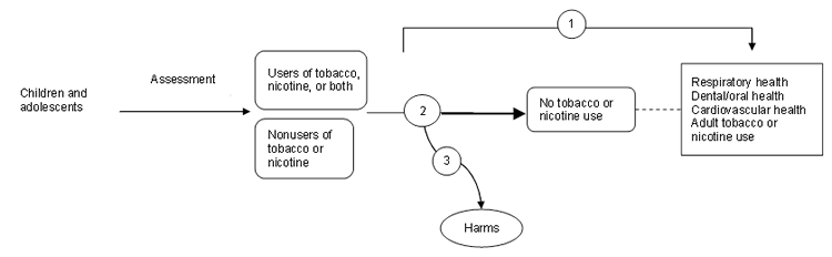 Figure 1 is an analytic framework that depicts the pathway children and adolescents may go through to prevent and/or stop tobacco and/or nicotine use. Children and adolescents are assessed for tobacco and/or nicotine use and may undergo prevention and/or cessation interventions that may lead to prevention and/or cessation of tobacco or nicotine use, secondary health outcomes (respiratory health, dental/oral health, and cardiovascular health), and adult tobacco or nicotine use. Interventions may also lead to harms. 