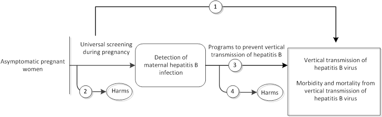 Figure 1 is the analytic framework that depicts the four Key Questions to be addressed in the systematic review. The figure illustrates how universal screening during pregnancy may result in improved health outcomes, including a reduction in the vertical transmission rates of hepatitis B as well as decreased morbidity and mortality (KQ1). The figure also depicts how programs to prevent the vertical transmission of hepatitis B may result in improved health outcomes, including a reduction in the vertical transmission rates of hepatitis B as well as decreased morbidity and mortality (KQ3). Further, the figure illustrates whether universal screening during pregnancy and programs to prevent the vertical transmission of hepatitis B infection are associated with any adverse events (KQ2, KQ4).