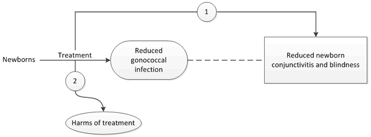 Figure 1 is the analytic framework that depicts the two Key Questions to be addressed in the systematic review. The figure illustrates how ocular prophylaxis for gonococcal ophthalmia neonatorum may result in improved health outcomes, including reduced newborn conjunctivitis and blindness (Key Question 1). Additionally, the figure illustrates whether ocular prophylaxis for gonococcal ophthalmia neonatorum is associated with any harms (Key Question 2).