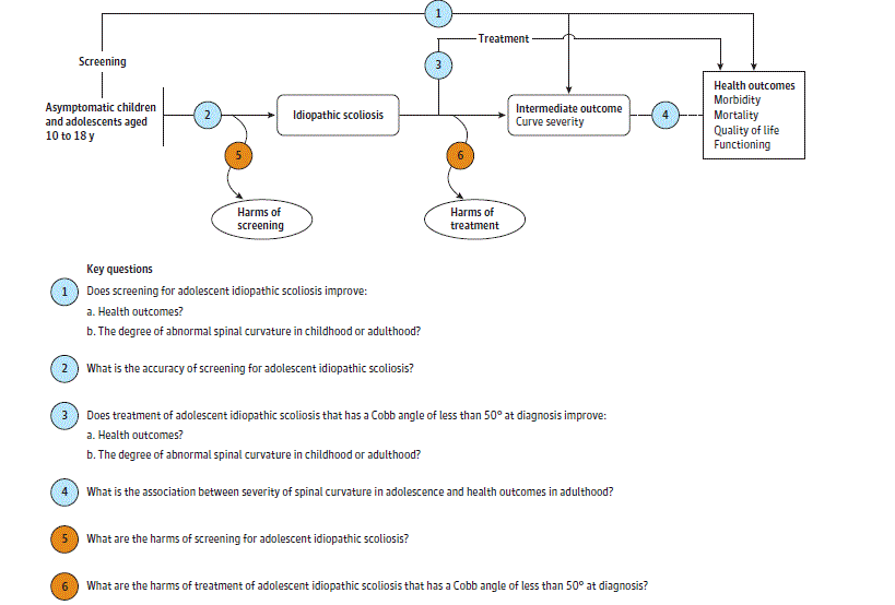 Figure 1 is an analytic framework that depicts the six Key Questions (KQs) described in the Methods section. Specifically, it illustrates the following questions: whether screening for adolescent idiopathic scoliosis (AIS) improves health outcomes and the degree of abnormal spinal curvature in childhood or adulthood (KQ1), the accuracy of screening for AIS (KQ2), whether treatment of AIS that has a Cobb angle of less than 50 degrees at diagnosis improves health outcomes and the degree of spinal curvature in childhood or adulthood (KQ3), the association between severity of spinal curvature in adolescence and health outcomes in adulthood (KQ4), the harms of screening for AIS (KQ5), and the harms of treatment of AIS that has a Cobb angle of less than 50 degrees at diagnosis (KQ6).