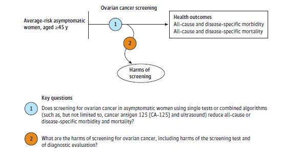 The figure is an analytic framework that depicts the two Key Questions described in the Research Plan: whether screening for ovarian cancer in asymptomatic women age 45 years or older leads to changes in all-cause or disease-specific mortality and morbidity (Key Question 1)  or potential harms (Key Question 2).