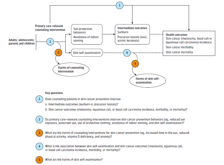 Figure 1. Analytic Framework and Key Questions