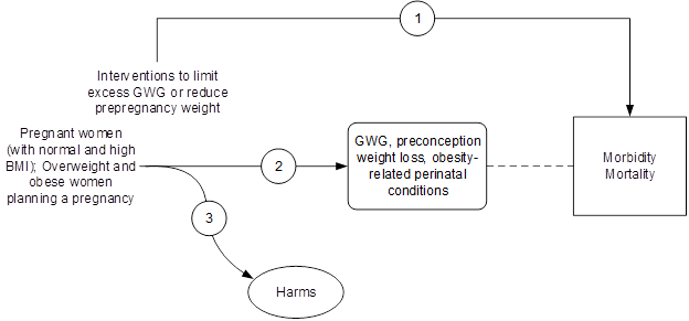 Draft Research Plan Healthy Weight And Weight Gain During