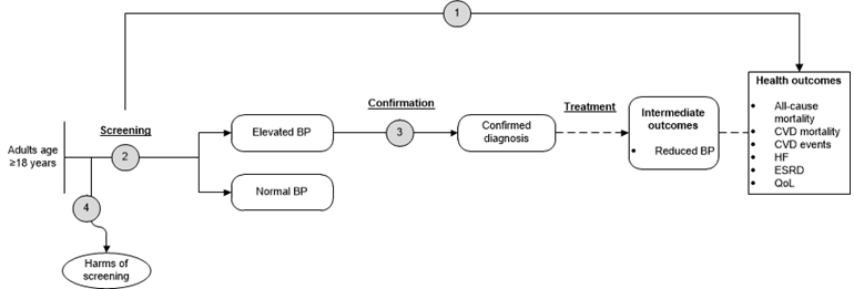 Figure 1 is the analytic framework that depicts the four Key Questions to be addressed in the systematic review. The figure illustrates how primary care screening for high blood pressure in adults may result in improved health outcomes, including all-cause mortality, cardiovascular disease mortality and events, heart failure, end-stage renal disease, and quality of life (KQ1). Additionally, the figure illustrates the accuracy of office-based blood pressure measurements in an initial screening for high blood pressure compared with the reference standard (ambulatory blood pressure measurement) (KQ2), and the accuracy of confirmatory blood pressure measurements in adults who initially screen positive for high blood pressure compared with the reference standard (KQ3). Lastly, the figure illustrates what harms may be associated with screening for high blood pressure in adults (KQ4).