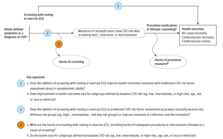 Figure  1 depicts the key questions within the context of the eligible populations, screenings/interventions, comparisons, outcomes, timing, and settings. On the left, the population of interest is adults without symptoms or a diagnosis of CVD. Moving from left to right, the figure illustrates the overarching question: Does the addition of screening with resting or exercise ECG improve health outcomes (i.e., reduce all-cause mortality, cardiovascular mortality, or cardiovascular events) compared with traditional CVD risk factor assessment alone in asymptomatic adults (KQ1)? The figure depicts the pathway from screening with ECG to measures of reclassification, calibration, or discrimination to illustrate the question: Does the addition of screening with resting or exercise ECG to traditional CVD risk factor assessment accurately reclassify persons into different risk groups (e.g., high-, intermediate-, and low-risk groups) or improve measures of calibration and discrimination (KQ2)? Screening may result in harms (KQ3). Following reclassification, persons at increased risk of CVD may receive preventive medications or lifestyle counseling, which may lead to improved health outcomes. 