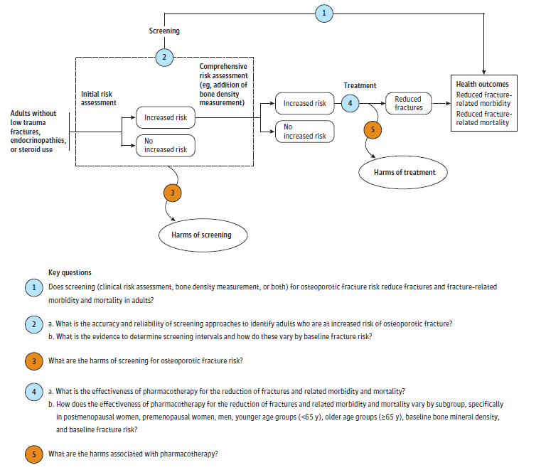 This figure is an analytic framework depicting the key questions (KQs) within the context of the populations, interventions, comparisons, outcomes, time frames, and settings (PICOTS) relative to the effectiveness and harms of screening and treatment for osteoporosis. The figure illustrates the relationship between osteoporosis for asymptomatic adults age 40 years and older without known reasons for secondary osteoporosis. KQ1 concerns the relationship between screening and risk assessment and reduced fracture-related morbidity and mortality. The population is shown as being at an increased risk or not at an increased risk (KQ2a and KQ2b respectively). If the population is not at increased risk, they are shown as circling back to the beginning of the pathway (KQ2c). KQ2d examines bone measurement testing in screening. For those at an increased risk, the harms of screening are examined (KQ3). The pathway indicates that populations at an increased risk are determined to have normal bone mass or osteoporosis or low bone mass. If the population has osteoporosis or low bone mass, they continue to treatment (KQ4). A pathway from osteoporosis or low bone mass following treatment leads to reduced fractures and harms of treatment are also examined (KQ5). Finally, the outcome of reduced fracture-related morbidity and mortality is depicted.