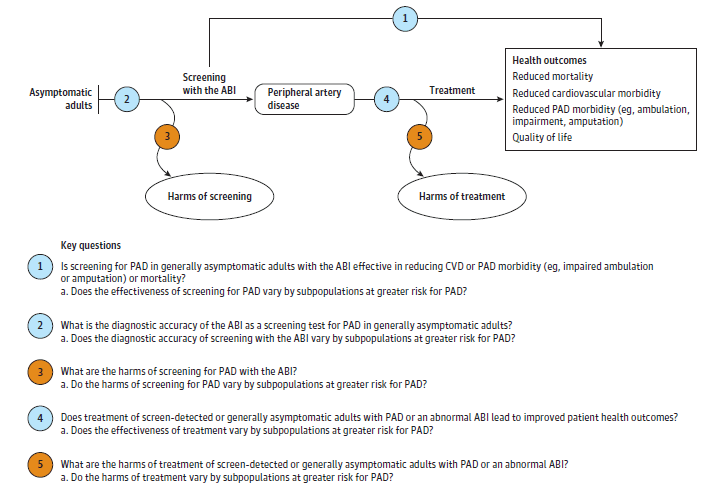 Figure 1 is the analytic framework that depicts the five Key Questions (KQ) addressed in the systematic review. The figure illustrates how screening generally asymptomatic adults for PAD using the ABI may reduce mortality, cardiovascular morbidity, PAD morbidity, and quality of life (KQ1). The figure also depicts the diagnostic accuracy of the ABI as a screening test for PAD (KQ2) and the harms of screening (KQ3). KQ4 depicts whether treatment of screen-detected or generally asymptomatic adults with PAD or abnormal ABI improves the patient health outcomes evaluated in KQ1 and if there are harms associated with treatment (KQ5).