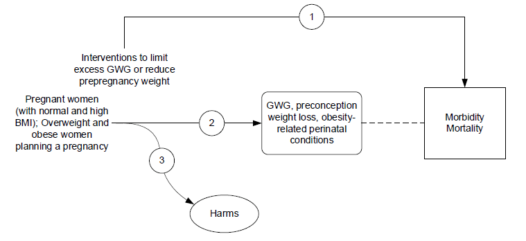 Figure 1 depicts the three key questions (KQs) and the research approach that will guide the review described in the research plan. On the left, the populations of interest are specified as pregnant women with normal and high BMI and women who are overweight or obese planning a pregnancy. From left to right, the figure illustrates the overarching question (KQ 1): do interventions to limit excess gestational weight gain lead to improved health outcomes in the populations of interest? The figure then depicts the pathway from the population to intermediate health outcomes, asking: do interventions to limit excess gestational weight gain lead to reduced gestational weight gain, postpartum weight retention, or obesity-related adverse perinatal conditions in the populations of interest (KQ 2)? The framework also asks: what are the harms of interventions to limit excess gestational weight gain in the populations of interest (KQ 3)? 