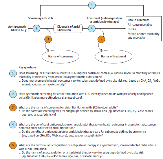 Figure 1 depicts the key questions (KQs) within the context of the eligible populations, screenings/interventions, comparisons, outcomes, timing, and settings. On the left, the population of interest is specified as asymptomatic adults age 65 years or older. Moving from left to right, the figure illustrates the overarching question: Does screening for atrial fibrillation with ECG improve health outcomes (i.e., reduce all-cause mortality or reduce morbidity or mortality from stroke) in asymptomatic older adults (KQ1)? The figure depicts the pathway from screening with ECG to diagnosis of atrial fibrillation to illustrate the question: Does systematic screening for atrial fibrillation with ECG identify older adults with previously undiagnosed atrial fibrillation more effectively than usual care (KQ2)? Screening may result in harms (KQ3). The figure also illustrates the question: What are the benefits of anticoagulation or antiplatelet therapy on health outcomes in asymptomatic, screen-detected older adults with atrial fibrillation (KQ4)? Treatment may also result in harms (KQ5).