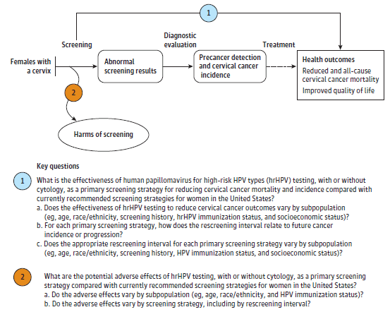 Figure 1 is an analytic framework that depicts the two Key Questions described in the Methods section of this report. The figure illustrates how cervical cancer screening programs among females age 21 years or older with a cervix may improve health outcomes (KQ1) and may have possible harms (KQ2).   