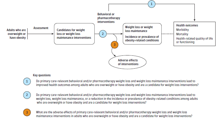 Figure 1 is the analytic framework that depicts the three Key Questions to be addressed in the systematic review. The figure illustrates how behavioral counseling or pharmacotherapy interventions for weight loss or weight loss maintenance may result in improved health outcomes, including obesity-related morbidity and mortality and health-related quality of life (KQ1). Additionally, the figure illustrates how behavioral counseling or pharmacotherapy interventions for weight loss or weight loss maintenance may have an impact on intermediate outcomes (including weight loss and the incidence or prevalence of obesity-related conditions) (KQ2). Further, the figure depicts whether behavioral counseling or pharmacotherapy interventions for weight loss or weight loss maintenance are associated with any adverse events (KQ3).