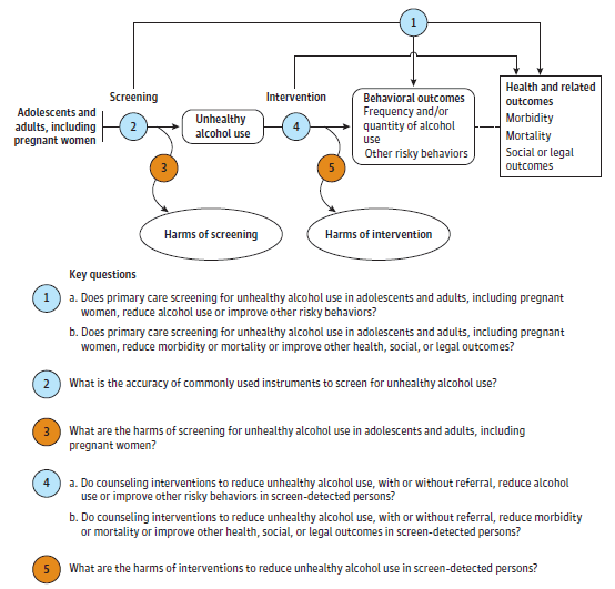 Figure 1 is the analytic framework that depicts the five Key Questions to be addressed in the systematic review. The figure illustrates how primary care screening for unhealthy alcohol use in adolescents and adults, including pregnant women, may reduce morbidity or mortality to improve other health, social, or legal outcomes (KQ1a), and how primary care screening for unhealthy alcohol use in adolescents and adults, including pregnant women, may reduce morbidity or mortality to improve other health, social, or legal outcomes (KQ1b). Additionally, the figure illustrates what the accuracy of commonly used instruments to screen for unhealthy alcohol use may be (KQ2), and what adverse events may be associated with screening for unhealthy alcohol use in adolescents and adults, including pregnant women (KQ3). Further, this figure illustrates how counseling interventions to reduce unhealthy alcohol use, with or without referral, may reduce alcohol use or improve other risky behaviors in screen-detected persons (KQ4a), and how counseling interventions to reduce unhealthy alcohol use, with or without referral, may reduce morbidity or mortality to improve other health, social, or legal outcomes in screen-detected persons (KQ4b). Finally, this figure illustrates what adverse events may be associated with interventions to reduce unhealthy alcohol use in screen-detected persons.