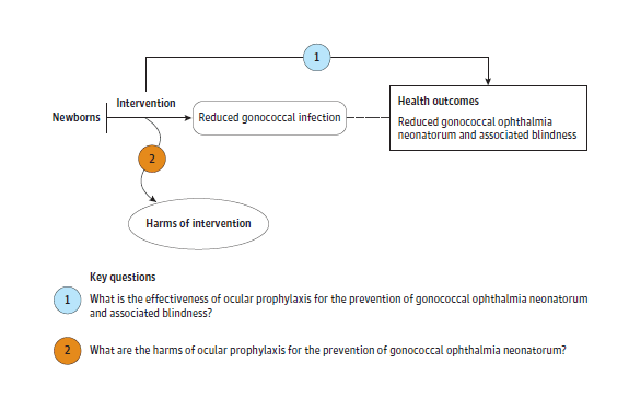 Figure displays the literature search results and article flow for the review. A total of 282 abstracts were screened and 6 full-text articles were assessed for eligibility. No new studies were identified.