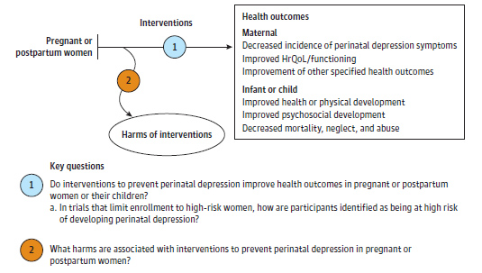 Figure 1 is the analytic framework that depicts the two Key Questions to be addressed in the systematic review. The figure illustrates how interventions to prevent perinatal depression may result in improved health outcomes for both the mother and infant/child, including decreased incidence of perinatal depression and perinatal depression symptoms; improved health-related quality of life and functioning for mothers; and improved health, physical and psychosocial development, and decreased mortality, neglect, and abuse for infant/child (KQ1). Additionally, the figure depicts whether interventions to prevent perinatal depression are associated with any harms (KQ2).