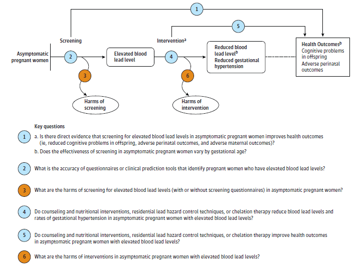 Figure 2 is an analytic framework that depicts the populations, interventions, outcomes, and harms of interest for screening for elevated blood lead levels in pregnant women. The far left of the framework describes the target population for screening: asymptomatic pregnant women. To the right is screening. Below the screening is an oval for harms of screening. An arrow leads from screening to a box containing health outcomes of reduced cognitive problems in offspring, reduced adverse perinatal outcomes, and reduced adverse maternal outcomes. To the right of screening is a box for elevated blood lead level. An arrow leads from asymptomatic pregnant women to elevated blood lead level. To the right of elevated blood lead is intervention, which has an oval below it for harms of intervention. An arrow leads directly from intervention to the final health outcomes of reduced cognitive problems in offspring, reduced adverse perinatal outcomes, and reduced adverse maternal outcomes. To the right of intervention is a box for the intermediate outcomes of reduced blood lead level and reduced gestational hypertension. The intermediate outcomes have a dotted line leading to the health outcomes of reduced cognitive problems in offspring, reduced adverse perinatal outcomes, and reduced adverse maternal outcomes