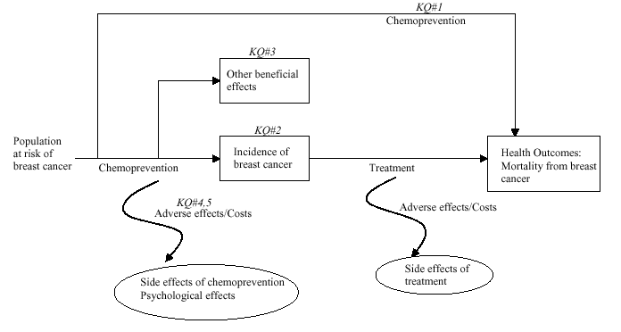 The analytic framework begins on the left side with the population at risk. Several different populations should be considered:  Premenopausal women with "average" risk of breast cancer.  Premenopausal women with "high" risk of breast cancer.  Postmenopausal women with "average" risk of breast cancer.  Postmenopausal women with "high" risk of breast cancer.    In addition, because of the effect of tamoxifen or other chemopreventive agents on potentially serious conditions other than breast cancer, women with particularly increased (or decreased) risk of thromboembolic events, bone fractures, or endometrial cancer should be considered separately.  Moving to the right in the analytic framework, the "chemoprevention" arrow points to a box labeled "incidence of breast cancer." Moving downward from the chemoprevention arrow is an "adverse effects/costs" arrow. Some of the adverse effects of tamoxifen or raloxifene are deep vein thromboembolism, pulmonary embolism, stroke, endometrial cancer, hot flashes, and cataracts.  Possible benefits from tamoxifen or raloxifene chemoprevention include reduced risk of heart disease and bone fractures. These are listed together in a separate box: "other beneficial effects."  Farther to the right is a "treatment" arrow, leading to a box labeled "health outcomes," which includes mortality and/or morbidity from breast cancer. We also consider "incidence of breast cancer" to be a health outcome worthy of consideration in its own right.  Leading downward from the "treatment" arrow is another "adverse effects/costs" arrow. Included here are adverse effects from chemotherapy, surgery, and radiation therapy used to treat breast cancer.  Finally, an "overarching" arrow for chemoprevention leads directly to reduced mortality and morbidity from breast cancer.