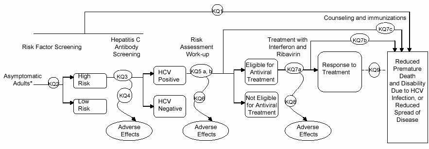 Appendix Figure is a diagram illustrating the analytic framework and key questions (KQ) that the authors sought to answer. The diagram describes the logical chain that must be supported by evidence to link screening for hepatitis C to improved health outcomes.  The diagram begins on the left by defining the population of interest as "asymptomatic adults, excluding pregnant women, HIV-positive persons, transplant recipients, and patients with renal failure." At the far right of the diagram are the improved health outcomes, "reduced premature death and disability due to hepatitis C virus infection or reduced spread of disease."  Arrow 1 corresponds to KQ 1, "Does screening for hepatitis C reduce the risk or rates of harm and premature death and disability?" The overarching arrow starts at "hepatitis C antibody screening" on the left and goes directly to the improved health outcomes at the far right.  Arrow 2 in the diagram corresponds to KQ 2, "Can clinical or demographic characteristics identify a subgroup of asymptomatic patients at higher risk for HCV infection?" Text lists the risk factors that would be screened for as "intravenous drug use, high-risk sexual behaviors, transfusion before 1990, and others." The arrow begins with the population of interest on the left and has two branches—one to "low risk" and one to "high risk." The "high risk" category is an end point.  From "low risk," the arrow continues to KQ 3, "What are the test characteristics of hepatitis C virus antibody testing?" then splits. One prong goes to KQ 4, "What is the predictive value of a positive screening test and what are the harms associated with screening for hepatitis C virus?", continues to "adverse effects," and stops. The second prong from the KQ 3 arrow splits again. One prong goes to "hepatitis C positive" and the other to "hepatitis C negative." "Hepatitis C negative" is an end point.   From "hepatitis C positive" the arrow proceeds to the KQs 5a and 5b. KQ 5a is, "What are the test characteristics of the work-up for active disease?" and KQ 5b is "In patients found to be positive for hepatitis C virus antibody, what proportion of patients would qualify for treatment?"  At KQ 5a and 5b the arrow splits into 3 prongs. One leads to KQ 6 "What are the harms associated with the work-up for active hepatitis C virus disease?" which leads to an end point, "adverse effects." Another goes to KQ 7c, "How well do counseling and immunizations in asymptomatic patients with hepatitis C improve clinical outcomes or prevent spread of disease?" and ends at the improved health outcomes at the far right. The third arrow splits into 2 prongs with one arrow going to "eligible for antiviral treatment" and another going to "not eligible for antiviral treatment," an end point.  From "eligible for antiviral treatment" the arrow continues to KQ 7a, "How well does antiviral treatment reduce the rate of viremia, improve transaminase levels, and improve histology?" The treatment noted is interferon and ribavirin. From KQ 7a, 3 prongs sprout. One arrow goes to KQ 7b, "How well does antiviral treatment improve health outcomes in asymptomatic patients with hepatitis C?" and then on to the improved health outcomes on the far right. Another arrow goes to KQ 8, "What are the harms (including intolerance to treatment) associated with antiviral intervention?" and continues to "adverse effects," an end point. The last arrow from KQ 7a goes through "response to treatment," including, it is noted, remission, normalization of transaminases, and biopsy changes. It continues to KQ 9, "Have improvements in intermediate outcomes (liver function tests, remission, histologic) been shown to reduce the risk or rate of harm from hepatitis C?" and from there to the improved health outcomes on the far right.