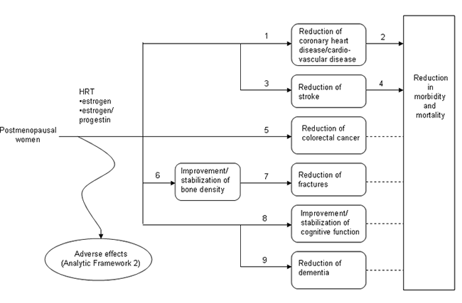 Analytic Framework 1 begins with 'Postmenopausal women' on the left. A line labeled 'HRT *estrogen, *estrogen/progestin' leads from 'Postmenopausal women' and divides into numbered arrows, each representing a key question: 1. Reduction of coronary heart disease/cardiovascular; 3. Reduction of stroke; 5. Reduction of colorectal cancer; 6. Improvement/ stabalization of bone density disease--a arrow leads from 6. to 7. Reduction of fractures; 8. Improvement/stabalization of cognitive function; 9. Reduction of dementia. Arrows labeled 2 and 4 lead from 1 and 3 respectively to a box that reads 'Reduction in morbidity and mortality'; dotted lines from 5, 7, 8, and 9 also lead to this box. A wavy arrow leads down from 'HRT *estrogen, *estrogen/progestin' to an oval that reads 'Adverse effects (Analytic Framework 2)