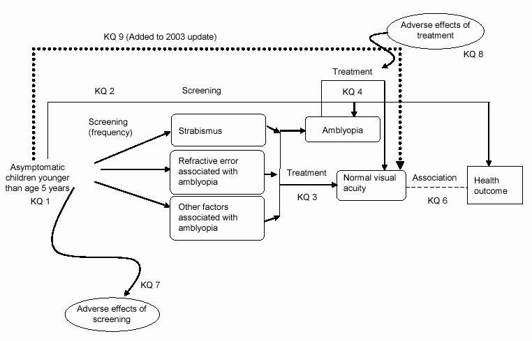 Figure 1 is a diagram of the analytic framework and key questions from the original Systematic Evidence Review, Screening for Visual Impairment in Children Younger than Age 5 Years. The diagram includes the 8 key questions (KQ) of that review and a ninth—"Does screening for amblyopia and associated conditions in children younger than age 5 years lead to better vision outcomes?"—added to the 2003 update.  The diagram starts on the left with KQ 1—"What is the prevalence of visual impairment in children younger than age 5 years?"—and ends on the right at "health outcome."   One arrow proceeds from KQ 1 to KQ 7—"What are the adverse effects of screening?"—and stops. Another arrow proceeds from KQ1 to KQ 2—"Do reliable, accurate, and feasible screening tests exist that can be used to detect visual disorders in children younger than age 3 years or in children aged 3 to 5 years? These visual disorders include amblyopia, strabismus, refractive errors associated with amblyopia, other rarer conditions associated with amblyopia such as cataracts or ptosis, and refractive error not associated with amblyopia."   From there, the arrow continues to KQ 4—"Under what conditions is the treatment of amblyopia successful?"—and ends at "health outcome." Another arrow from KQ 4 points to "amblyopia." An arrow to KQ 4 comes from KQ 8—"What are the adverse effects of treatment?"  Three additional arrows fan out from KQ 1, proceeding to "strabismus," "refractive error associated with amblyopia," and "other factors associated with amblyopia." Then, the 3 arrows merge to 2 arrows. One goes to "amblyopia." The other goes to KQ 3—"Do detection and treatment of conditions associated with amblyopia before amblyopia has developed lead to better treatment outcomes (primary prevention)?"—and continues to "normal visual acuity." A dotted line continues from "normal visual acuity" to KQ 6—"Does improving vision result in improved health outcomes?"—and continues to "health outcome."   Another arrow proceeds from KQ 1 to KQ 9 and continues on to "normal visual acuity."   KQ 5—"Under what conditions is the treatment of refractive errors not associated with amblyopia successful?"—is not included in the diagram.