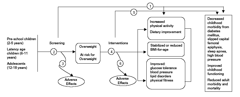 The analytic framework diagram starts with a three-item list: pre-school children (2-5 years), latency age children (6-11 years), and adolescents (12-18 years). The arrow goes to "screening" where it branches to arrow 1 and arrow 2. Arrow 1 is "Is there direct evidence that screening for overweight in children/adolescents improves age-appropriate behavioral or physiologic measures or health outcomes?" Arrow 2 is a) "What are appropriate standards for overweight in children/adolescents and what is the prevalence of overweight based on these?," b) "What are reliable and valid screening tests for overweight in children/adolescents?" and c) "Is there a reliable and valid screening test for childhood/adolescent overweight that predicts future adult obesity?"  Arrow 1 goes directly to the end of the diagram on the far right, to "decreased childhood morbidity from diabetes mellitus, slipped capital femoral epiphysis, sleep apnea, hypertension," "improved childhood functioning," and "reduced adult morbidity and mortality."   Arrow 2 forks. One fork goes to arrow 3 ("What are the adverse effects of screening, including labeling? Is screening acceptable to patients?") The other fork goes to "overweight" and "at risk for overweight" and proceeds to arrow 4: "Do interventions lead to improved intermediate outcomes, including behavioral, physiologic, or weight-related measures?"  Arrow 4 forks in three directions. One fork goes to arrow 6: "What are the adverse effects of interventions? Are interventions acceptable to patients?"  The second fork goes to arrow 5: "Do interventions (behavioral counseling, pharmacotherapy, surgery) lead to improved health outcomes, including decreased morbidity, and/or improved functioning (school attendance, self esteem, and other psychosocial indicators?" a) "What are common behavioral and health system elements of efficacious interventions? And b) "Are there differences in efficacy between patient subgroups? Arrow 5 goes directly to "decreased childhood morbidity from diabetes mellitus, slipped capital femoral epiphysis, sleep apnea, high blood pressure," "improved childhood functioning," and "reduced adult morbidity and mortality."  The third fork of arrow 4 branches to "increased physical activity, dietary improvement, sedentary behavior," "stabilized or reduced BMI-for-age," and "improved glucose tolerance, blood pressure, lipid disorders, and physical fitness." 