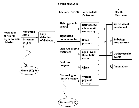 Figure 1 is an analytic framework showing the Key Questions.