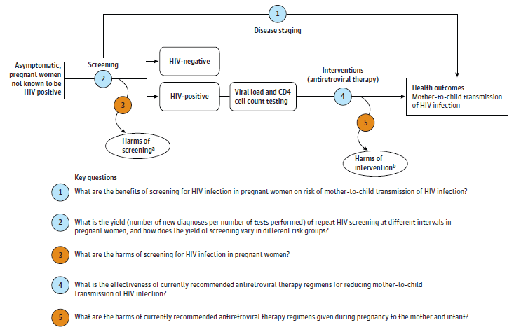 The analytic framework shows the relationship between the population, intervention, outcomes, and harms of screening for HIV. The far left of the framework describes the target population for screening as asymptomatic pregnant women not known to be HIV positive. To the right of the population is an arrow corresponding to key question 2, which represents screening. This arrow leads to both HIV-positive and HIV-negative populations, and an arrow assessing potential harms of screening corresponds to key question 3. From the HIV-positive population, an arrow leads to disease staging with viral load and CD4 count testing followed by intervention with antiretroviral therapy (key question 4), which assesses the clinical outcome of mother-to-child transmission of HIV infection. This step may lead to harms, which corresponds to key question 5. An arrow assessing potential harms of treatment follows, which corresponds to key question 5, and includes adverse maternal and infant outcomes associated with use of antiretroviral therapy. An overarching arrow for key question 1 goes directly from screening to the clinical outcome.