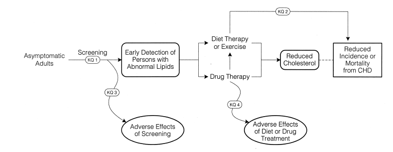 Analytical framework showing the flow of the key questions. KQ1 is accuracy of  screening in asymptomatic adults. KQ2 is the effectiveness of diet therapy or exercise or drug therapy in reducing incidence in mortality from CHD. KQ3 is the adverse effects of screening. KQ4 is the adverse effects of diet or drug treatment.