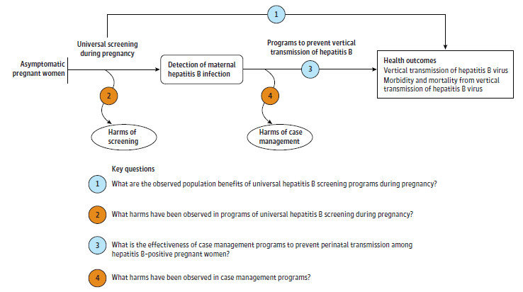 Figure is the analytic framework that depicts the four Key Questions to be addressed in the systematic review. The figure illustrates how screening for hepatitis B virus infection in pregnant women may result in improved health outcomes (KQ1) or potential harms (KQ2). Additionally, the figure illustrates how programs to prevent vertical transmission in pregnant women with hepatitis B may result in improved health outcomes (KQ3) or potential harms (KQ4).