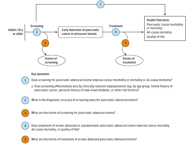 The analytic framework depicts the five Key Questions (KQs). Specifically, it illustrates the following questions: whether screening for pancreatic adenocarcinoma improves cancer morbidity or mortality or all-cause mortality (KQ1); whether screening effectiveness varies by clinically relevant subpopulations (KQ1a); the diagnostic accuracy of screening tests for pancreatic adenocarcinoma (KQ2); the harms of screening for pancreatic adenocarcinoma (KQ3); whether treatment of screen-detected or asymptomatic pancreatic adenocarcinoma improves cancer mortality, all-cause mortality, or quality of life (KQ4); and the harms of treatment of screen-detected pancreatic adenocarcinoma (KQ5).