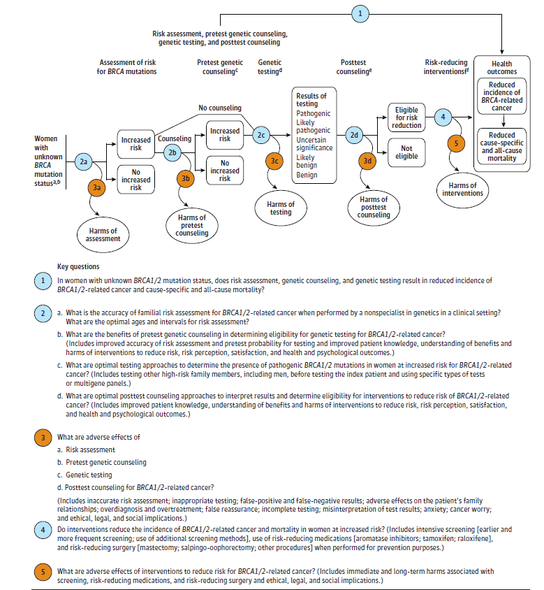 Figure 1 is a flow diagram of risk assessment, genetic counseling, and genetic testing. Women with unknown BRCA mutation status, which includes women who may have a previous diagnosis of breast or ovarian cancer but have completed treatment, are assessed for their BRCA mutation risk. These women may experience adverse effects as they are determined to have either no increased risk or increased risk for BRCA mutations. Women with an increased risk for deleterious mutations are referred for genetic counseling, during which they may experience adverse effects. Following genetic counseling, women are determined to either have no increased risk or an increased risk for BRCA mutations. Women with an increased risk for BRCA mutations are referred for genetic testing, during which they may experience adverse effects. Women with increased risk for BRCA mutations may be referred directly to genetic testing, with no genetic counseling prior to testing. Testing may be done on the index patient, her relative with cancer, or relative with highest risk as appropriate. Women who undergo genetic testing may be found to have benign results or likely benign, which means that the genetic tests showed no indications of a deleterious mutation in BRCA; or they may be found to have a result that is pathogenic, likely pathogenic, or of uncertain significance. Women may undergo post-test counseling, which includes interpretation of results, determination of eligibility for risk-reducing interventions, and patient decision making. Women eligible for risk reduction may be referred for interventions, which may include increased early detection through intensive screening (earlier and more frequent mammography, breast MRI), use of risk-reducing medications (aromatase inhibitors, tamoxifen), and risk-reducing surgery (mastectomy, salpingo-oophorectomy). Women who undergo interventions may experience adverse effects. Women who undergo interventions may also have reduced incidence of BRCA-related cancer and reduced cause-specific and all-cause mortality.