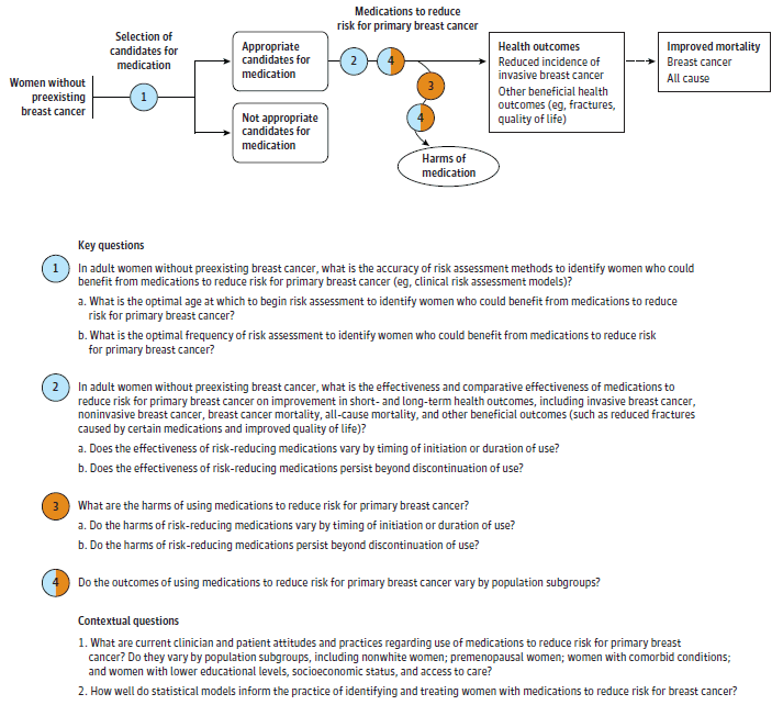 Figure 1 is a flow diagram of the selection of candidates for medications to reduce the risk for primary breast cancer. Women without preexisting breast cancer are screened and sorted into either appropriate or inappropriate candidates for medication. Women who are appropriate candidates for medication receive medications to reduce the risk for primary breast cancer. Women may experience adverse effects due to these medications. Women who are treated with these medications may have reduced incidence of invasive breast cancer and reduced incidence of noninvasive breast cancer, which may lead to improved breast cancer related mortality and all-cause mortality.