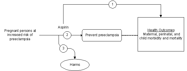 Figure 1 is the analytic framework that depicts the three Key Questions to be addressed in the systematic review. The figure illustrates how aspirin use my reduce adverse maternal, perinatal, and/or child health outcomes when taken by pregnant persons at an increased risk of preeclampsia (KQ1). Additionally, the figure depicts that aspirin use may prevent preeclampsia among pregnant persons at an increased risk of the condition (KQ2), as well as harms associated with aspirin use for the prevention of preeclampsia during pregnancy (KQ3). 