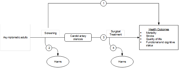 Figure 1 is the analytic framework that depicts the four Key Questions to be addressed in the review. The figure illustrates how screening for carotid artery stenosis may result in improved health outcomes, including reducing mortality and stroke rate as well as improving quality of life, functional status, or cognitive status (KQ1). Additionally, the figure depicts the effects of treatment of CAS on health outcomes in a previously screened, asymptomatic population (KQ3), as well as harms associated with screening (KQ2) and treatment (KQ4).