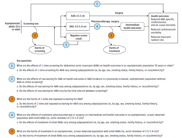 Figure 1 is the analytic framework that depicts the five Key Questions to be addressed in the systematic review. The figure illustrates how screening for abdominal aortic aneurysms (AAA) may result in improved health outcomes, including reducing AAA-specific and all-cause mortality, as well as aneurysm rupture rate (KQ1). Additionally, the figure depicts the effects of rescreening for AAA on health outcomes or AAA incidence in a previously screened, asymptomatic population (KQ2), as well as harms associated with one-time and repeated screening (KQ3). Further, the figure illustrates how treating small AAAs (i.e., aortic diameter of 3.0 to 5.4 cm) with pharmacotherapy or surgery affects treatment-relevant intermediate health outcomes (KQ4) and what harms are associated with these treatments (KQ5).  