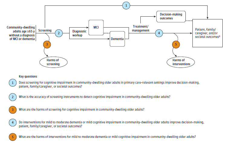 This figure is the analytic framework that depicts the five Key Questions to be addressed in the systematic review. The figure illustrates how screening for cognitive impairment in adults aged 65 years or older may result in improved intermediate outcomes (decision making) and health outcomes (patient, family/caregiver, and societal outcomes) (Key Question 1). There is also a question related to the accuracy of screening instruments used to detect cognitive impairment (Key Question 2) and potential harms of screening (Key Question 3). Additionally, the figure illustrates how pharmacologic and nonpharmacologic interventions for early dementia may have an impact on intermediate outcomes (decision making) and health outcomes (patient, family/caregiver, and societal outcomes) (Key Question 4) and whether these interventions result in any harms (Key Question 5).