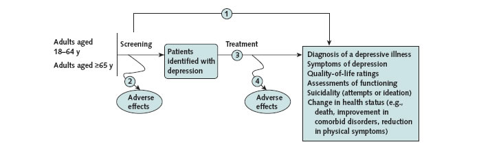 Figure 1. Analytic framework and key questions. Go to Text Description for details.