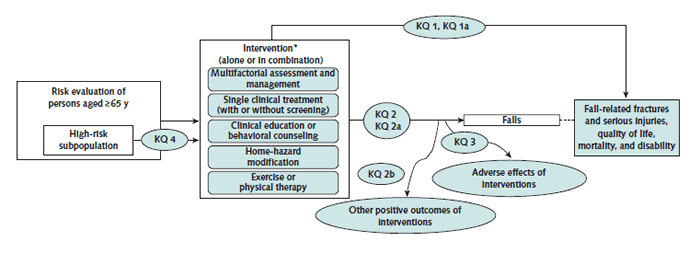 Appendix Figure 1. Key questions. Go to [D] Text Description for details.