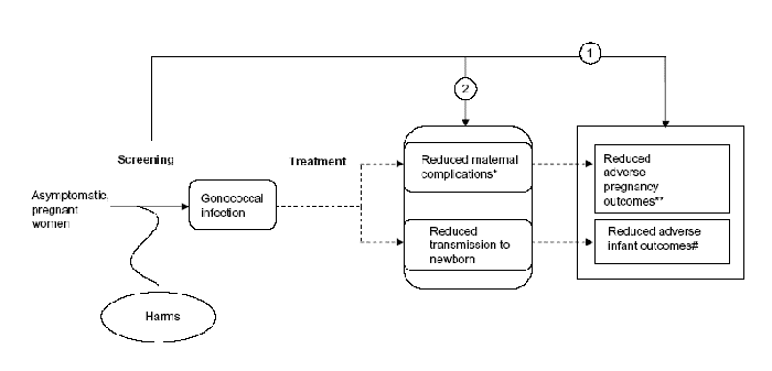 Figure 2. diagrams the analytic framework for screening for gonorrhea in pregnant women. To the left of the diagram is "asymptomatic, pregnant women." The diagram starts at "screening." Arrow 1 proceeds directly from screening to "reduced adverse pregnancy outcomes" (septic abortion, stillbirth, preterm delivery/low birth weight) and "reduced adverse infant outcomes" (gonococcal conjunctivitis, blindness).  An unnumbered arrow proceeds from asymptomatic, pregnant women to gonococcal infection with a branch proceeding to "harms." From "gonococcal infection," the arrow becomes a dotted line (indicating that an evidence link is well-established and will not be evaluated), passes "treatment," and branches again. One branch goes to "Reduced maternal complications" (chorioamnionitis, premature rupture of membranes, preterm labor) and from there to "reduced adverse pregnancy outcomes (septic abortion, stillbirth, preterm delivery/low birth weight). The other branch goes to "reduced transmission to newborn" and continues to "reduced adverse infant outcomes" (gonococcal conjunctivitis, blindness).  Arrow 2 branches from arrow 1 and goes to "reduced maternal complications" and "reduced transmission to newborn" and on to the outcomes.
