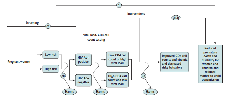 Figure. Analytic framework and key questions for screening for HIV in pregnant women. Go to Text Description for details.