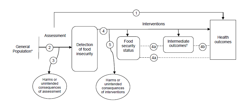 Figure 1 is the analytic framework that depicts the five Key Questions (KQs) to be addressed in the systematic review. The figure addresses whether identifying food insecurity improves health outcomes (KQ1), the performance of risk assessment or screening to identify food insecurity (KQ2), and harms of assessment for food insecurity (KQ3). The figure also displays the effect of interventions on food security status, intermediate outcomes, and health outcomes (KQ4), the effect of improvements in food security outcomes on intermediate and health outcomes (4a), and the effect of improvements in intermediate outcomes on health outcomes (4b), as well as the harms or unintended consequences of these interventions (KQ5). 